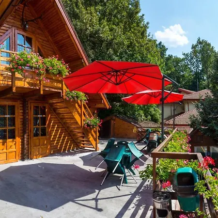 Pensjonat Pensiunea Casa 3*