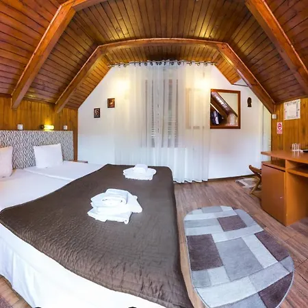 Pensiunea Casa Pensjonat Bukareszt