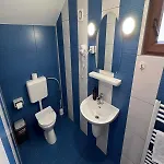 Guest house Pensiunea Casa