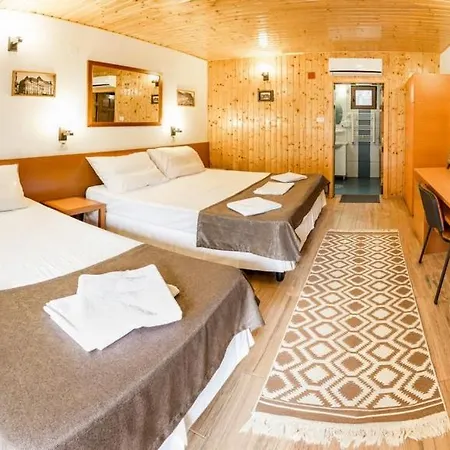 Guest house Pensiunea Casa