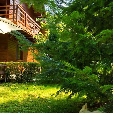 Pensiunea Casa Pensionat 3*