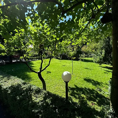 Pensiunea Casa Bukarest