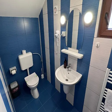 Pensjonat Pensiunea Casa