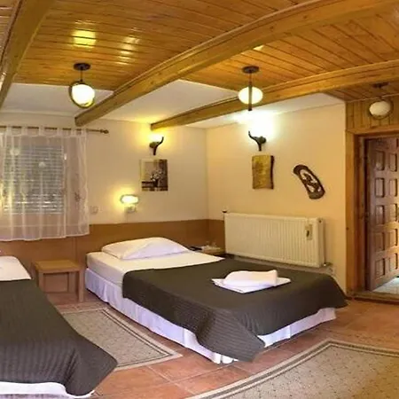 Pensionat Pensiunea Casa Bukarest