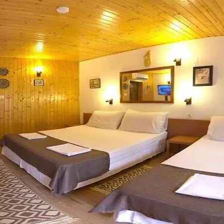 Pensionat Pensiunea Casa