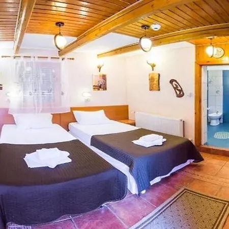 Pensionat Pensiunea Casa 3*