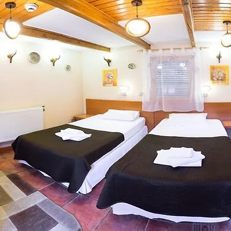 Pensiunea Casa Pensionat Bukarest
