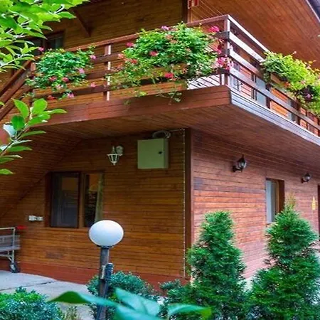 Pensiunea Casa Bukarest