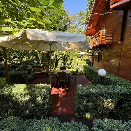 Guest house Pensiunea Casa 3*