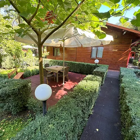Pensiunea Casa 3*