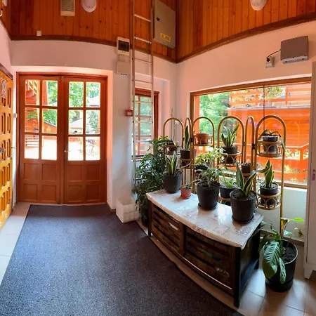 Guest house Pensiunea Casa 3*