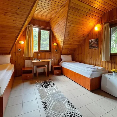 Pensiunea Casa Bukarest