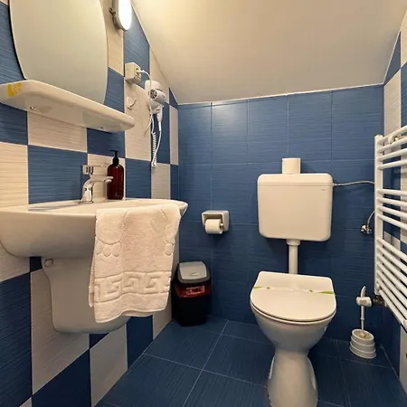 Guest house Pensiunea Casa
