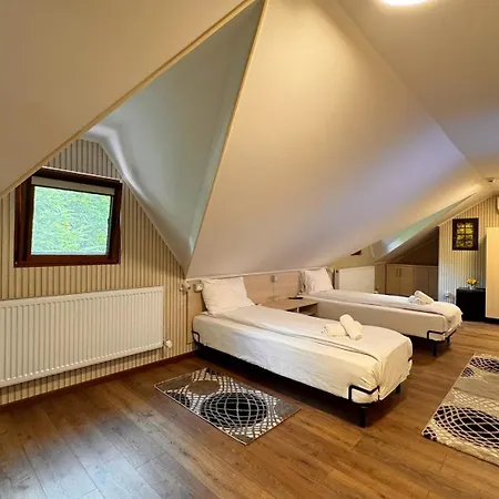 Pensiunea Casa Guest house 3*