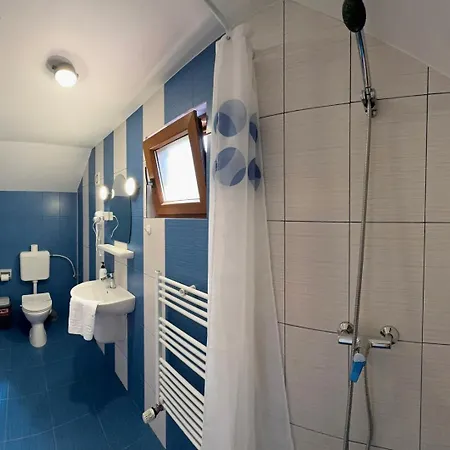 Pensionat Pensiunea Casa Bukarest