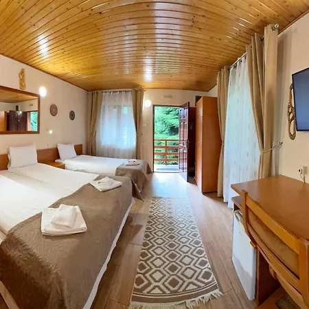 Pensiunea Casa 3*