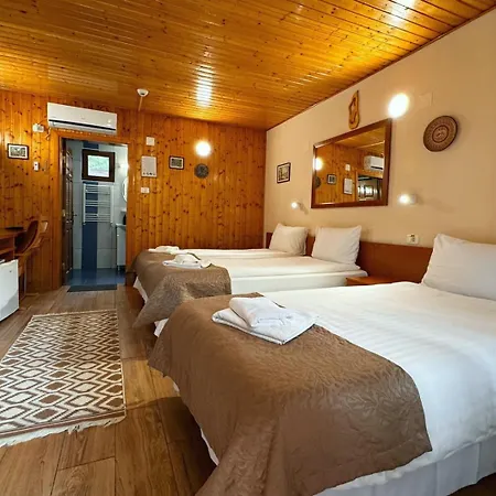 Pensiunea Casa 3* Bukarest