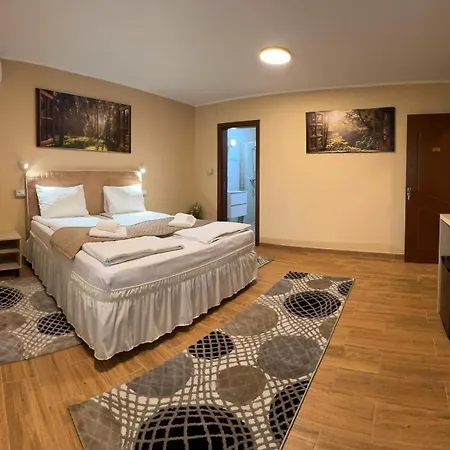 Pensionat Pensiunea Casa 3*