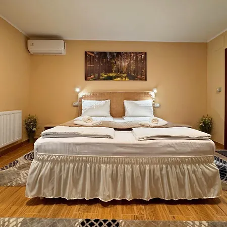 Pensiunea Casa Bukarest