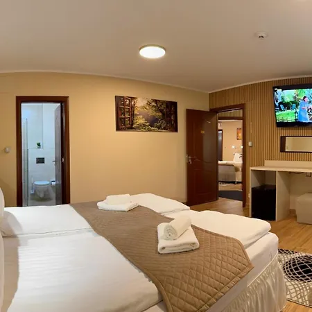 Pensiunea Casa 3* Bukarest
