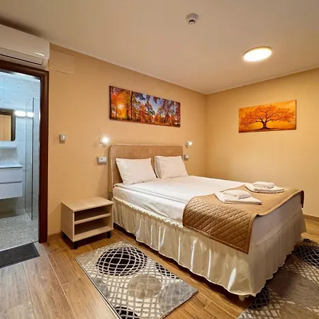 Pensiunea Casa 3*