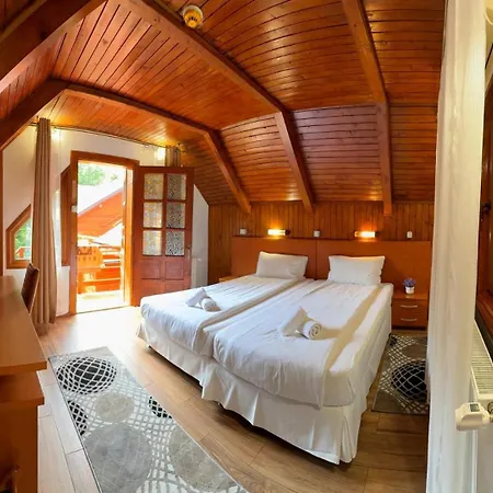 Pensionat Pensiunea Casa Bukarest