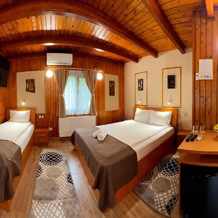 Pensionat Pensiunea Casa