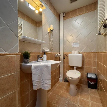 Pensiunea Casa Pensionat 3*