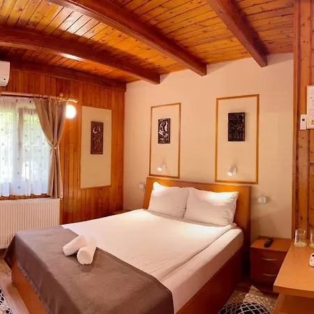 Pensionat Pensiunea Casa 3*