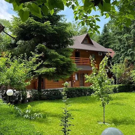 Pensiunea Casa Guest house