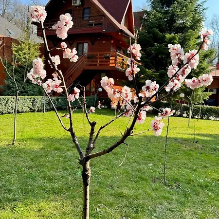 Pensiunea Casa