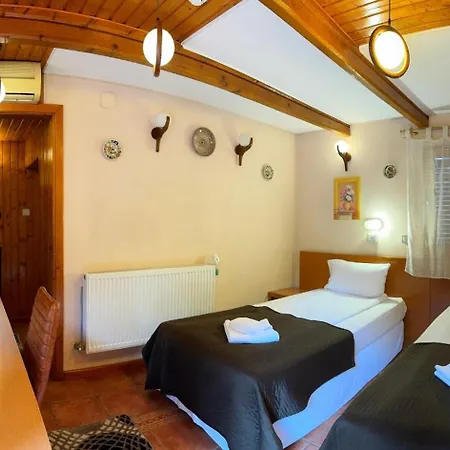 Pensiunea Casa Pensionat