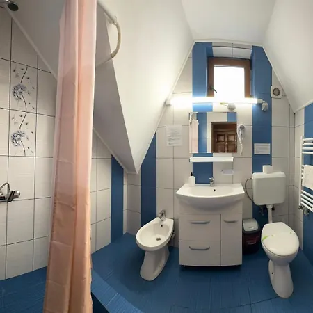 Guest house Pensiunea Casa