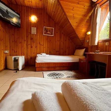 Guest house Pensiunea Casa 3*