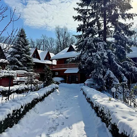 Pensionat Pensiunea Casa Bukarest