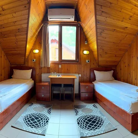 Pensiunea Casa Bukarest