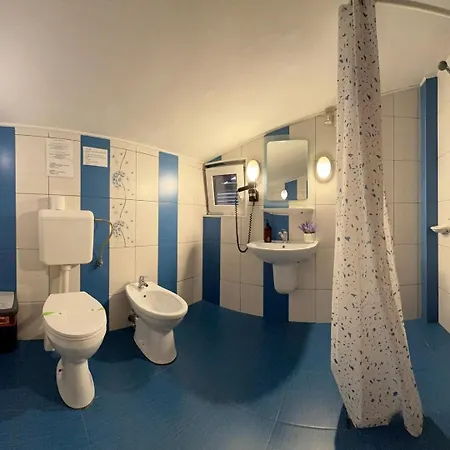 Pensionat Pensiunea Casa 3*