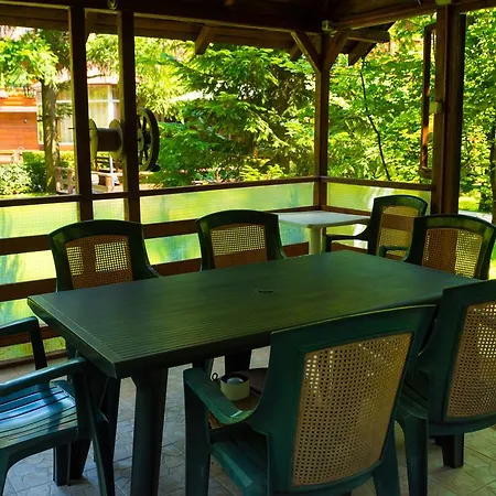 Pensiunea Casa ゲストハウス 3*