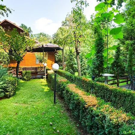 Pensiunea Casa Πανσιόν 3*