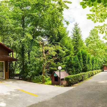 Guest house Pensiunea Casa Bucharest