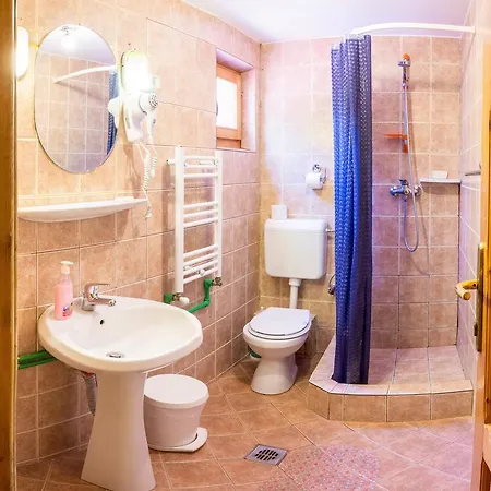 Pensiunea Casa 3* Bucharest