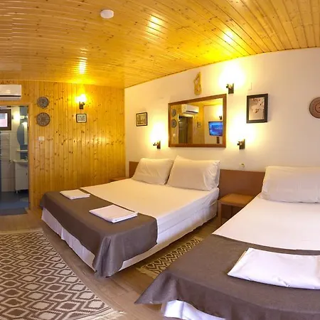 Pensiunea Casa 3*