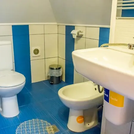 Pensiunea Casa 3* 布加勒斯特