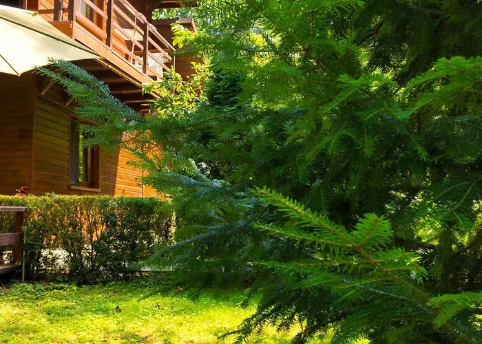 Pensiunea Casa Affittacamere 3*