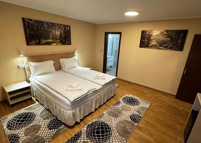 Casa de hóspedes Pensiunea Casa Bucareste