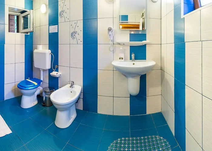 Pensiunea Casa Casa de hóspedes 3*