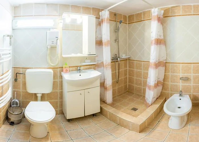 Pensiunea Casa ゲストハウス 3*