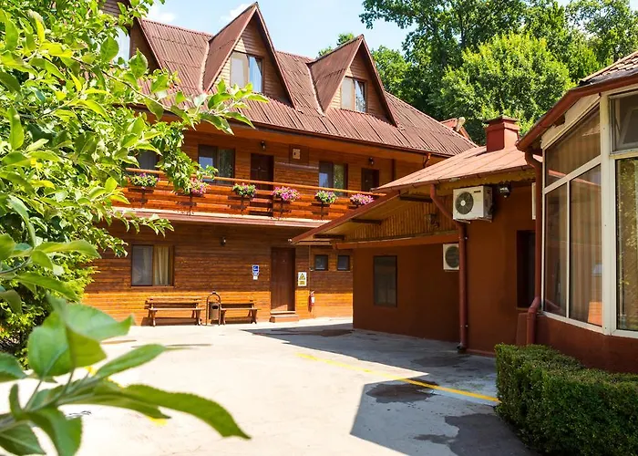 Pensiunea Casa 게스트하우스 3*