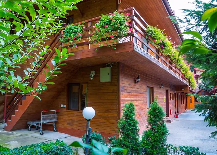 Pensiunea Casa 3*