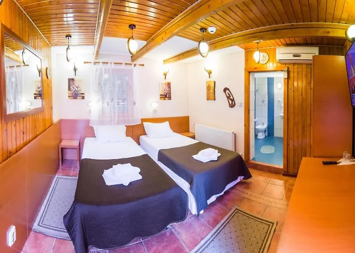 Gasthuis Pensiunea Casa 3*